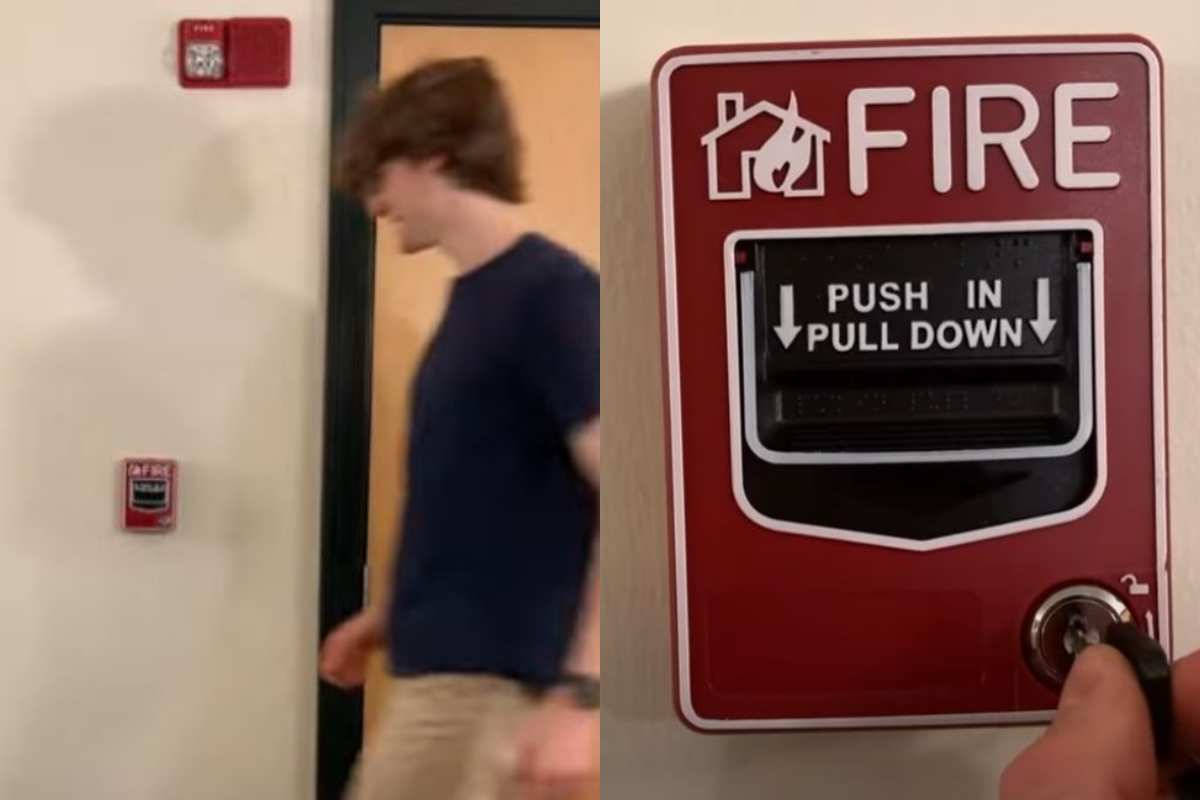 Due frame del video del creator Flying-Toast