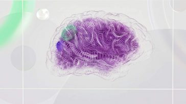 Un'illustrazione di un cervello universale