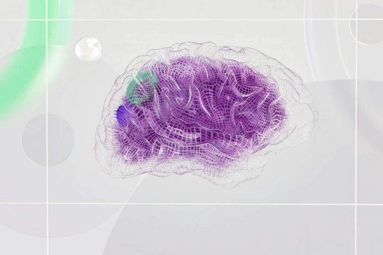 Un'illustrazione di un cervello universale