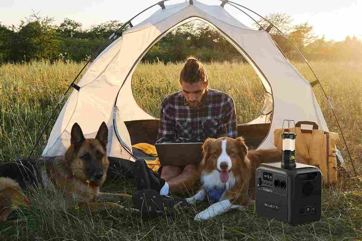 ragazzo in campeggio con cane e centrale elettrica portatile