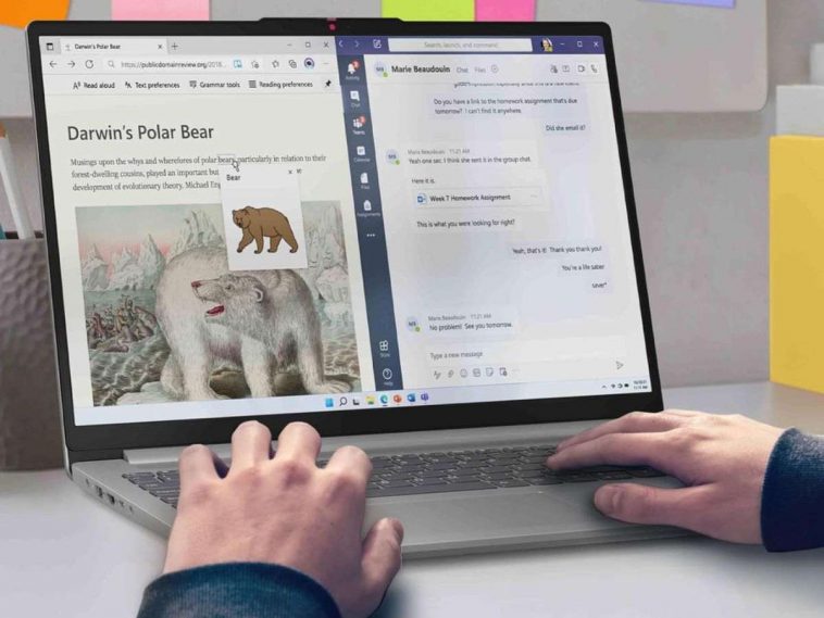 mani persona mentre scrive su laptop