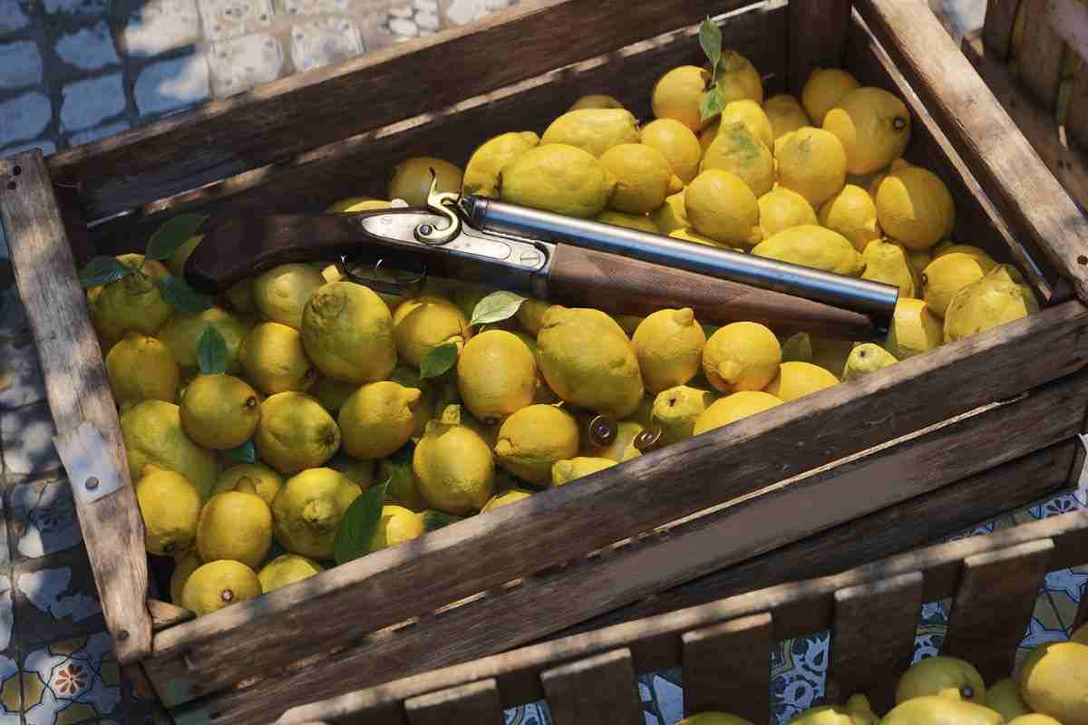 cassetta piena di limoni con all'interno una lupara
