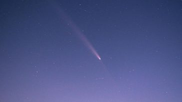 Una cometa in cielo