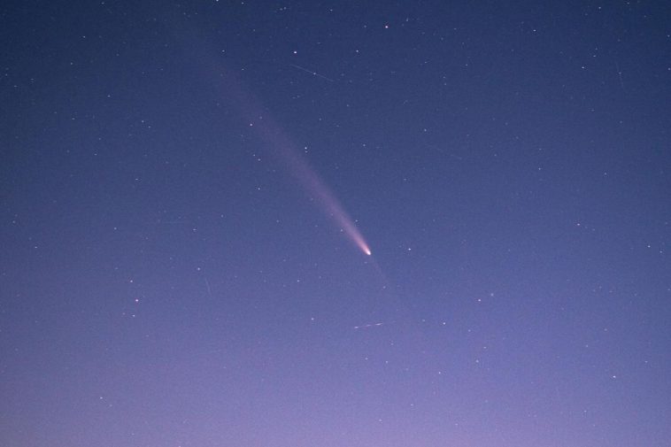 Una cometa in cielo