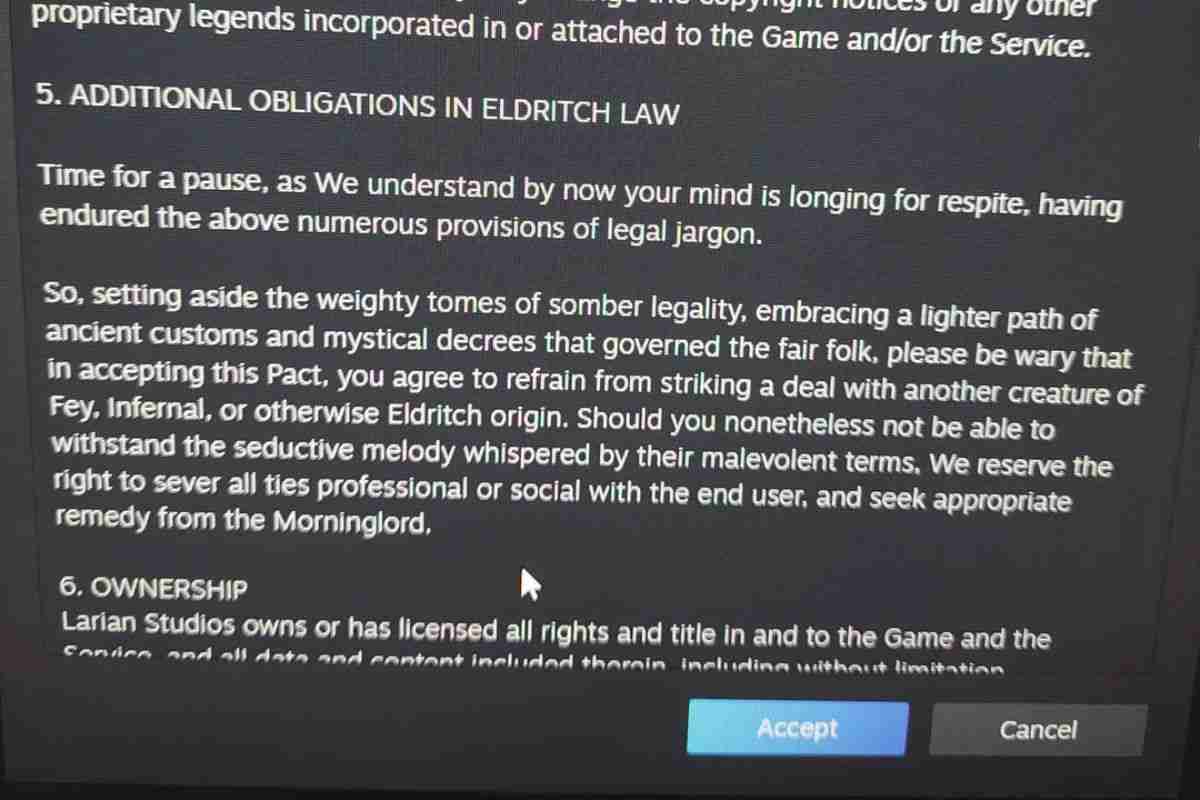 termini e condizioni baldur's gate 3