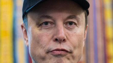 Elon Musk, primo piano