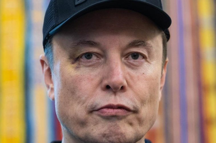 Elon Musk, primo piano
