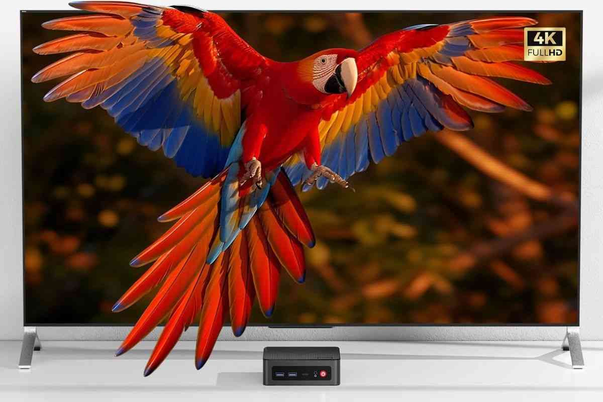 origimagic C4 Mini PC sotto a schermo con mmagine di pappagallo