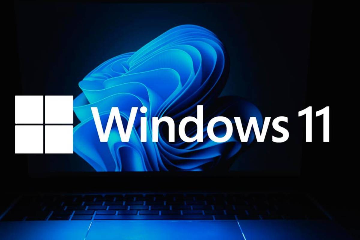 Windows 11, il logo