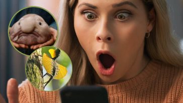 Una ragazza guarda stupita il cellulare e, in evidenza, due animali molto strani