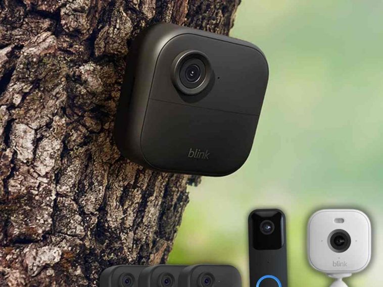 Nuova videocamera Blink (Outdoor 4) appesa ad albero, in basso videocamera bianca e videocitofono nero