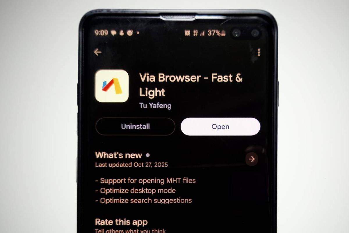 La pagina di installazione di Via Browser 