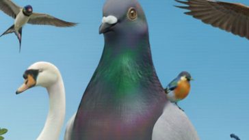 uccelli in 3D immagine di Bird Game 3