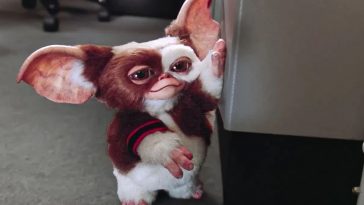 mostro peloso gremlins appoggiato a scrivania