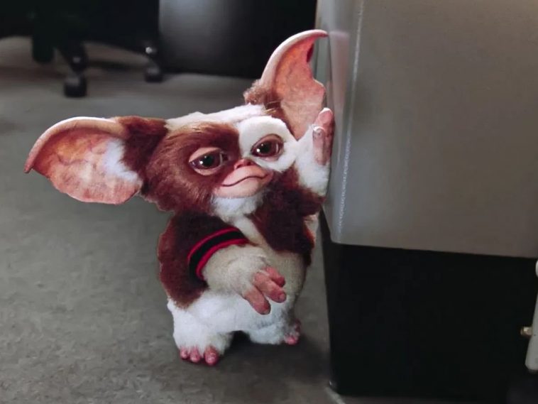 mostro peloso gremlins appoggiato a scrivania