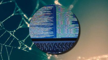 Una ragnatela e, in evidenza, uno schermo di pc con un codice informatico