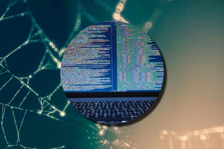 Una ragnatela e, in evidenza, uno schermo di pc con un codice informatico