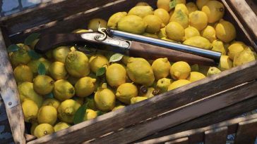 screenshot di mafia terra madre con fucile appoggiato su cassa di limoni