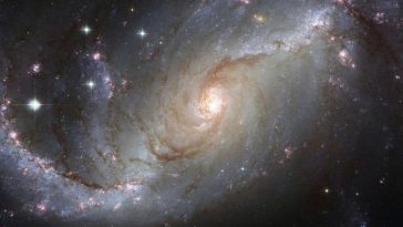 Un'illustrazione di un ammasso stellare