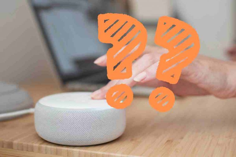 punti di domanda e alexa