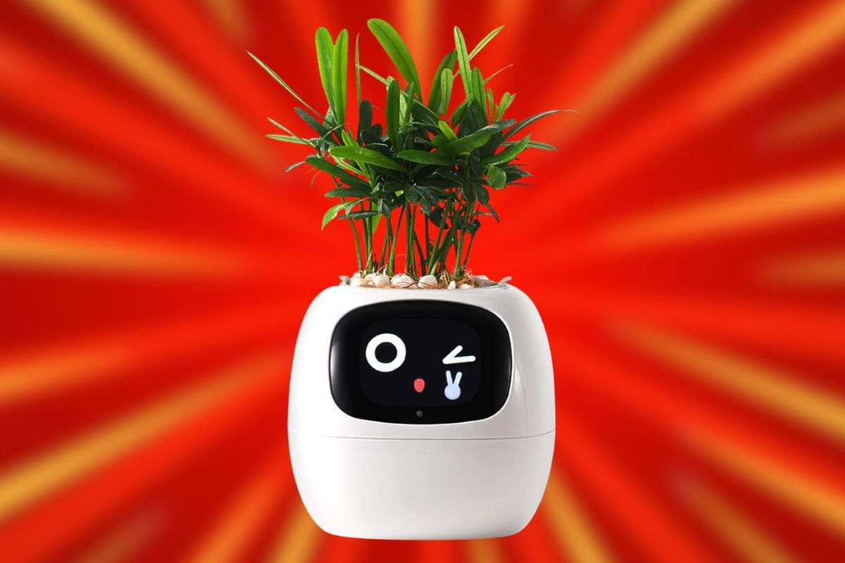 vaso bianco sorridente con piantina dentro