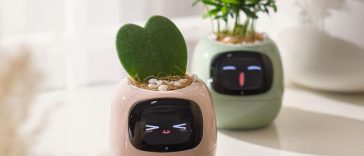 vasi con facce sorridenti con all'interno piantine