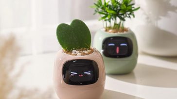 vasi con facce sorridenti con all'interno piantine