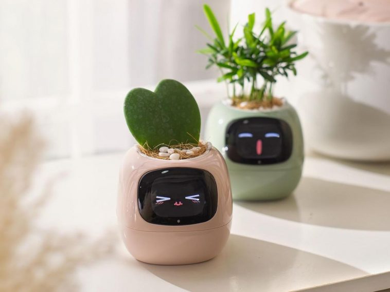 vasi con facce sorridenti con all'interno piantine