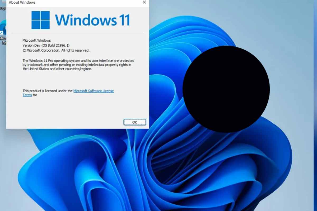 Una schermata di Windows 11 con un cerchio nero