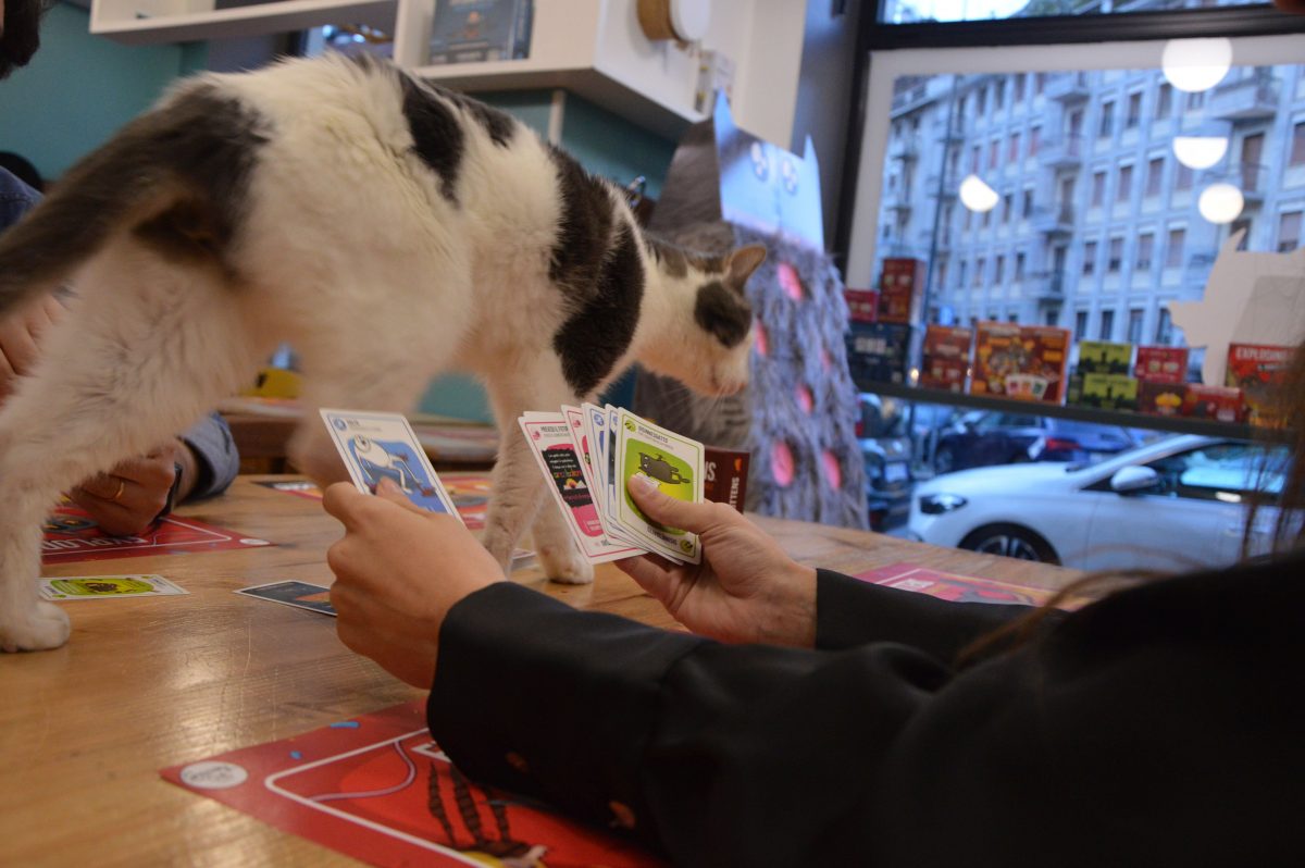 Serata per i dieci anni di Exploding Kittens.
